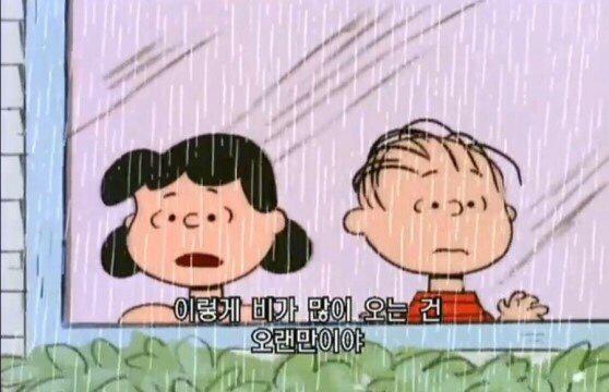 리뷰어 프로필