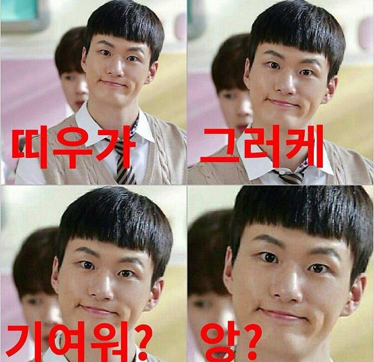 희수토리 프로필