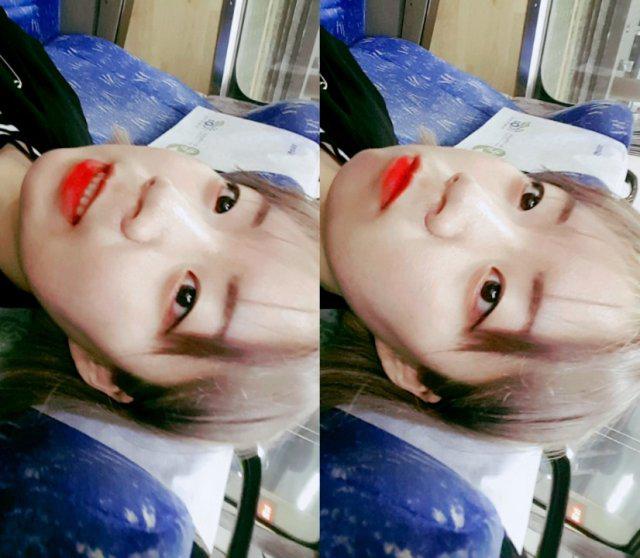 귀요미포로리 프로필