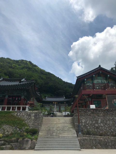 라온마미 프로필