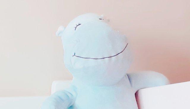 바른바른 프로필