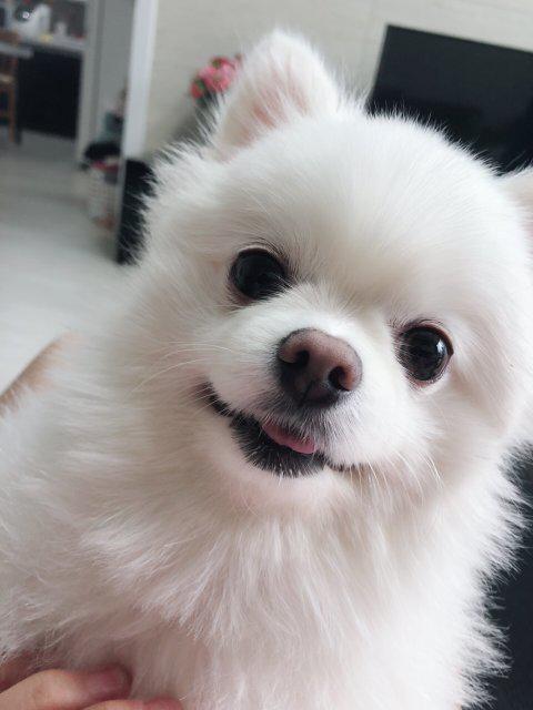 토리콩 프로필