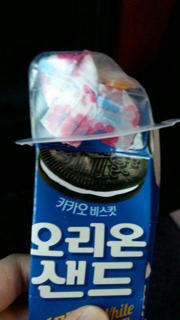 따니와세니 프로필