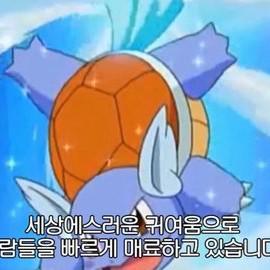 팡팡꾸르 프로필