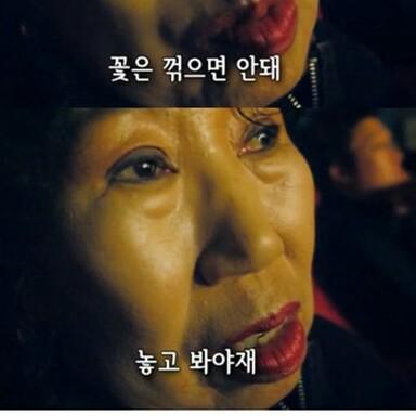 나는예쁜이지모 프로필