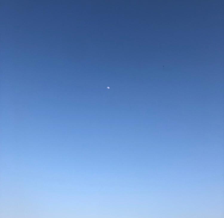 방봉붕방 프로필