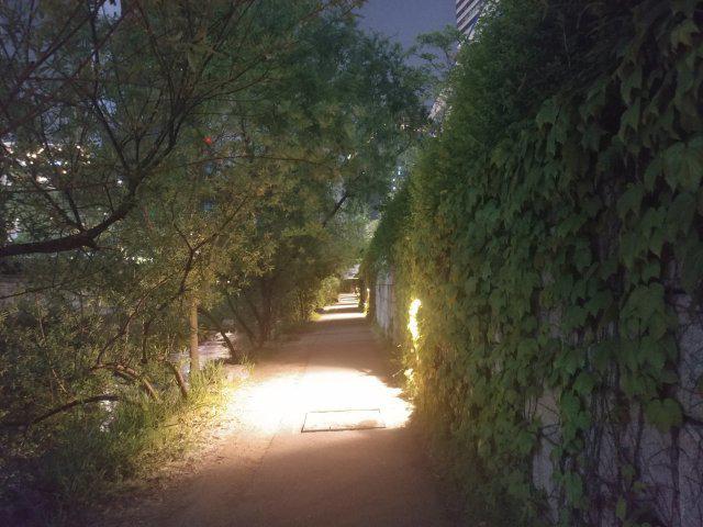 린크 프로필