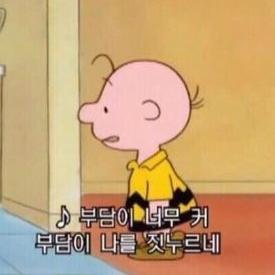 께이끄 프로필