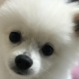 뉸뉴냔냔냐