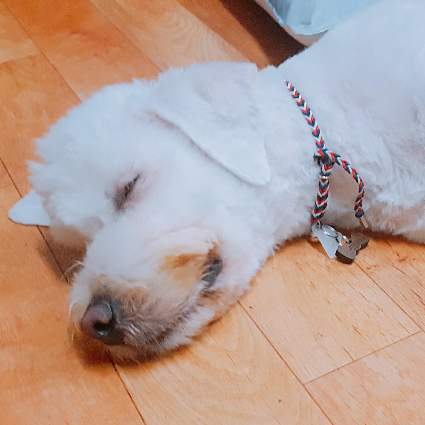 리뷰어 프로필