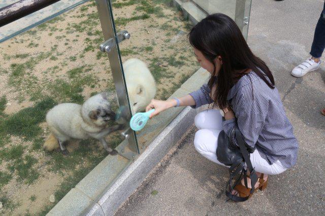 더블유페스타 프로필