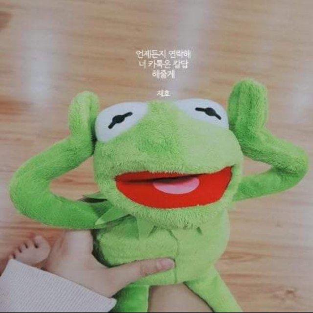 옌니옹 프로필
