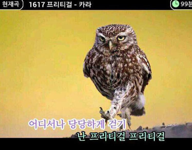 기분나쁨 프로필