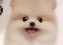리뷰어 프로필