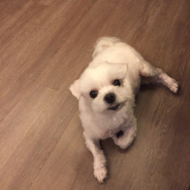 온초 프로필
