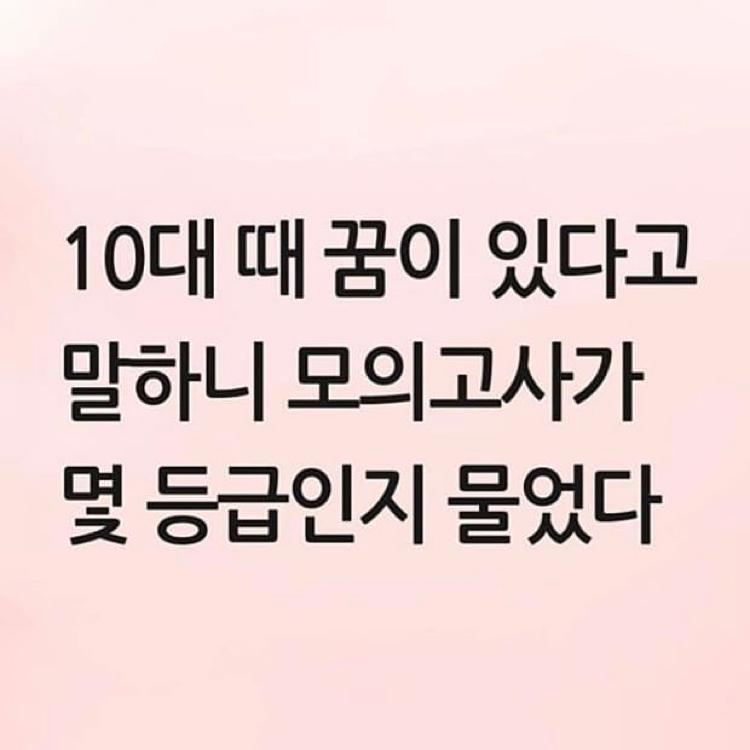 차돌바기 프로필