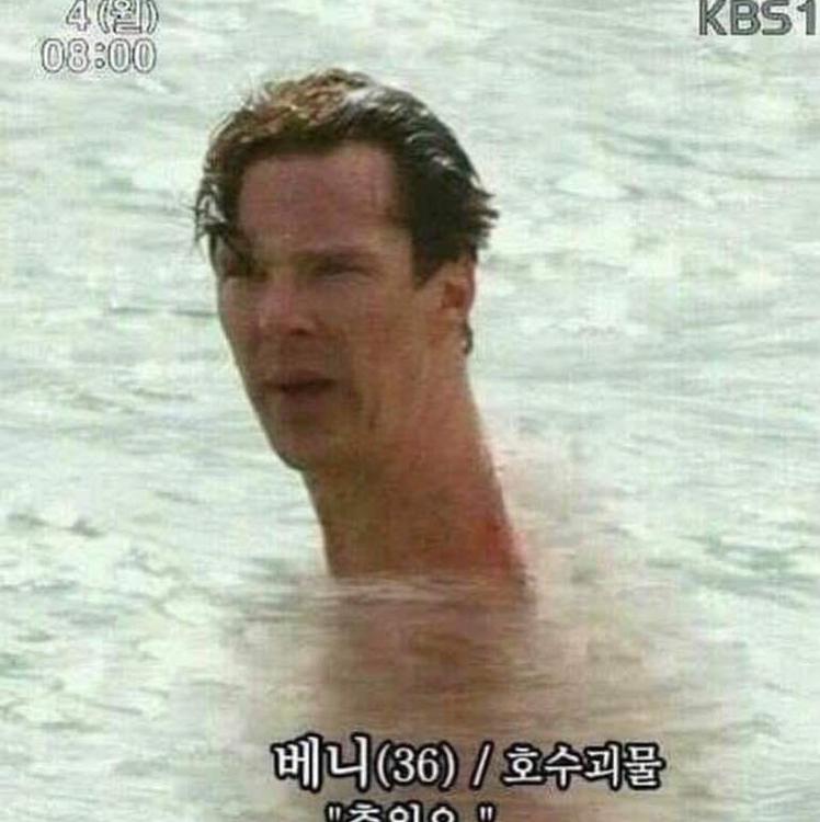 개새기 프로필