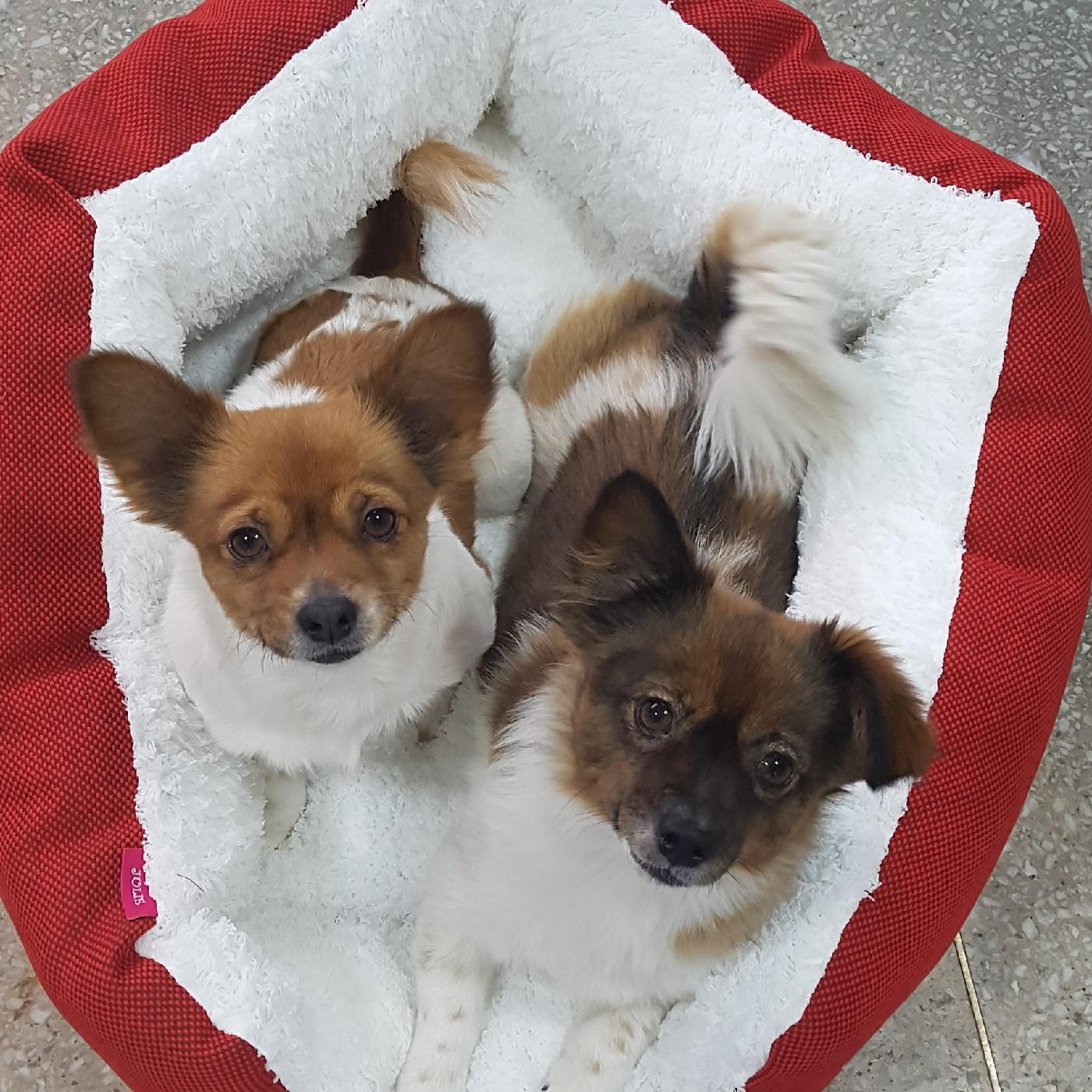 리뷰어 프로필