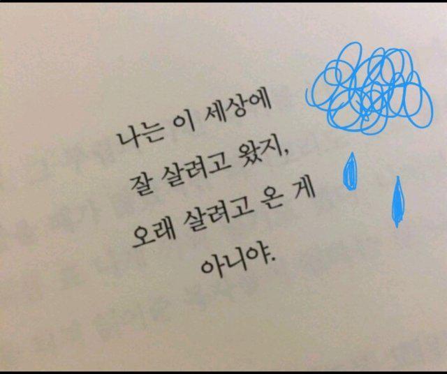 김석진! 프로필