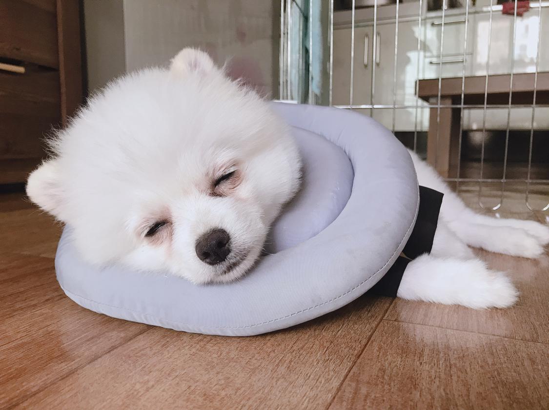 리뷰어 프로필