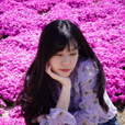 솔트리22