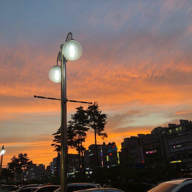 빠샤이 프로필