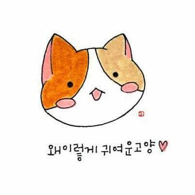 리뷰어 프로필