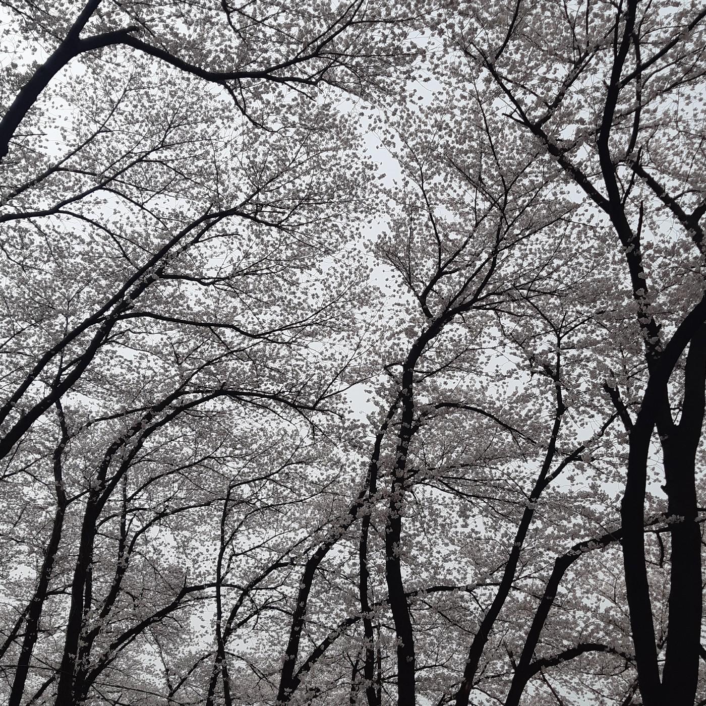 리뷰어 프로필