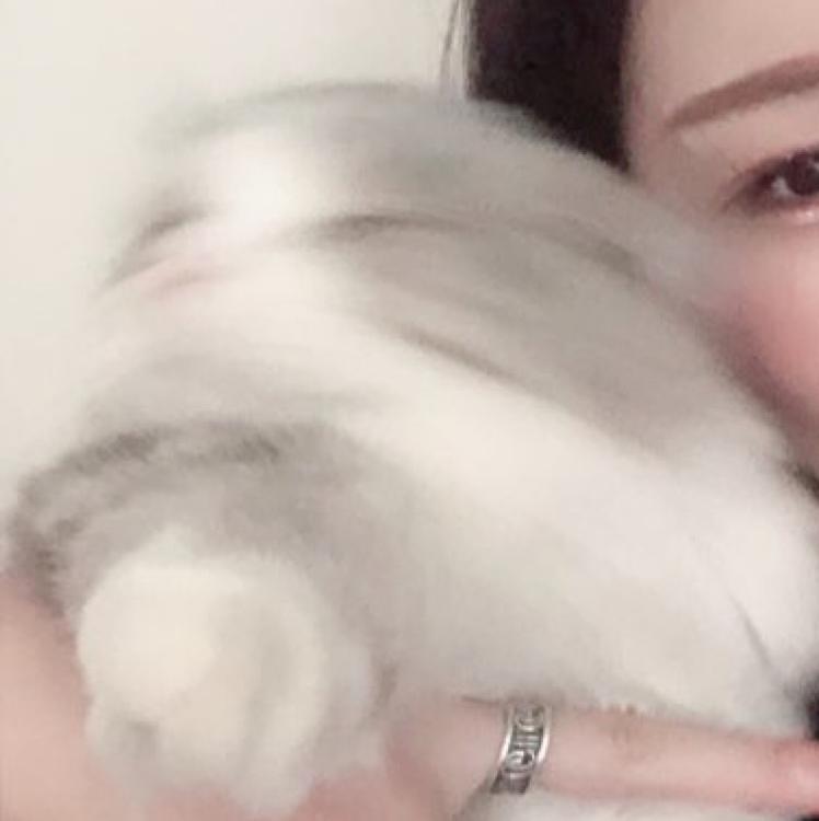 횽이sss 프로필