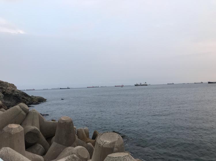 지민다인 프로필