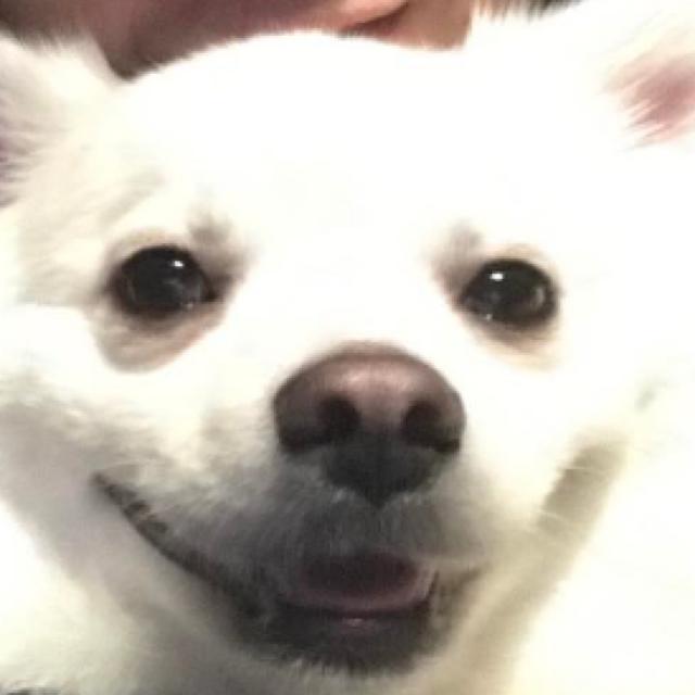 ekqls4543 프로필