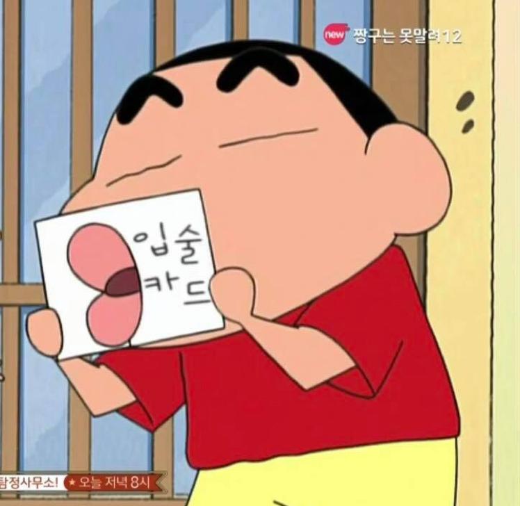 다함께차윤차 프로필