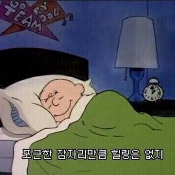 마우스다이어터 프로필
