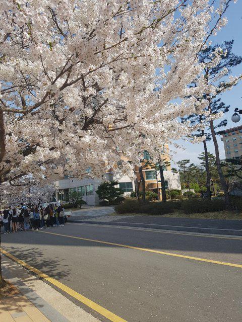 kde0223 프로필