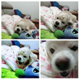 노블레스1