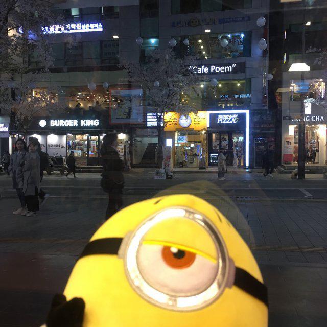 케롱이 프로필