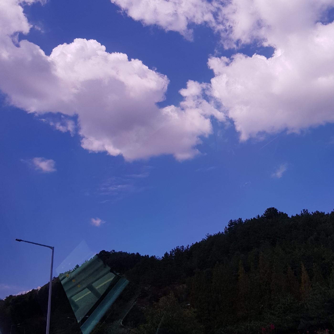 somthj 프로필