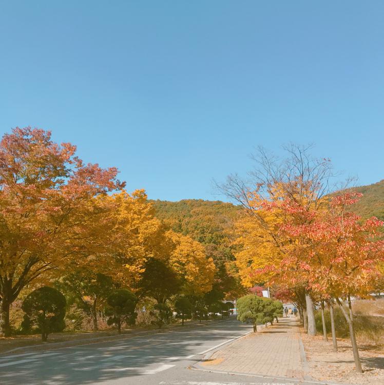 히지콩 프로필