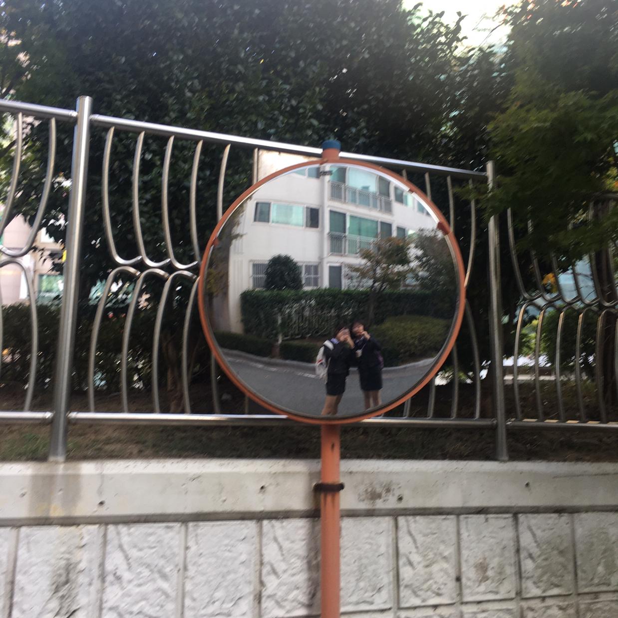 캐럿둉 프로필