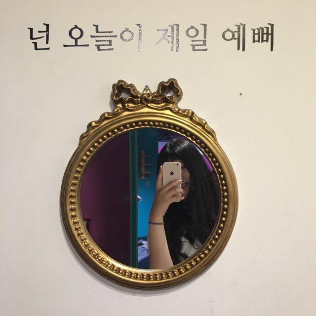 마이노야 프로필