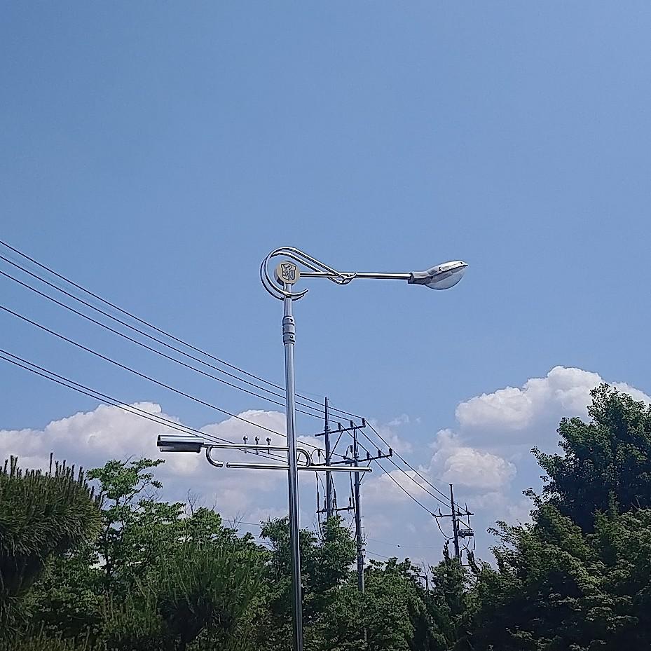 MS01 프로필