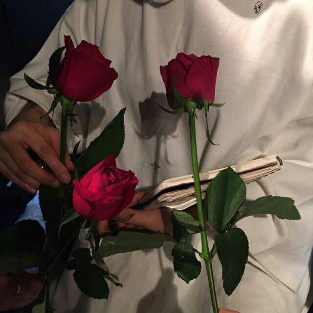 코렌공주 프로필