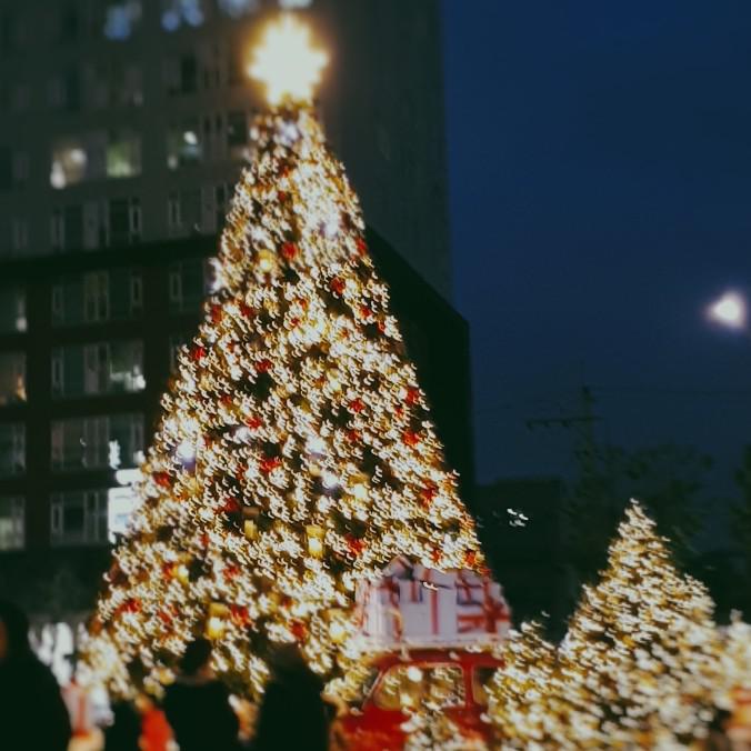 나나ㄴ 프로필
