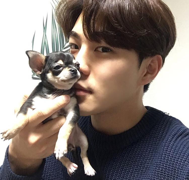 마사디 프로필