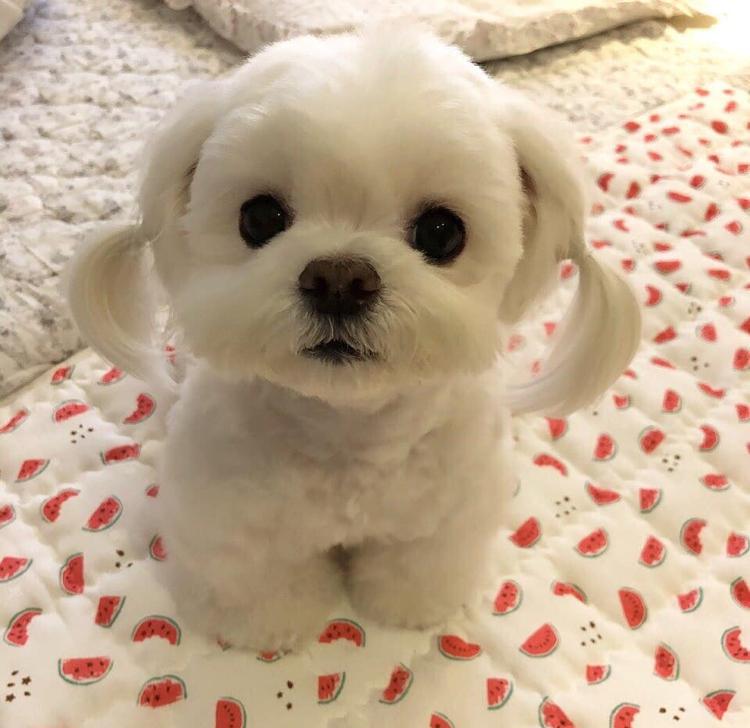 eun__a 프로필