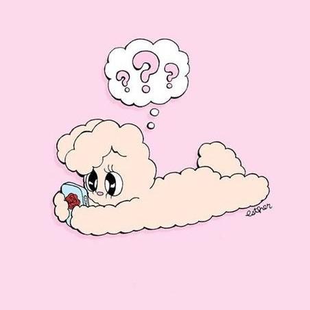 권연화 프로필