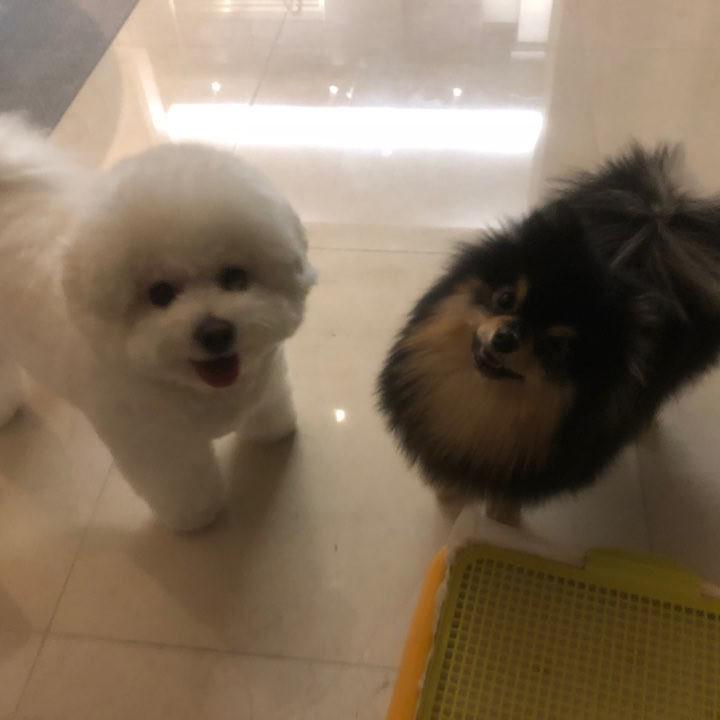 골두니 프로필