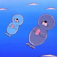 재능곰 프로필