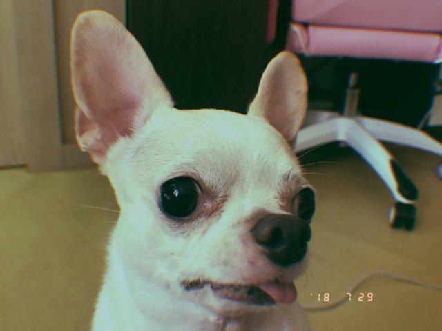 이주룩 프로필