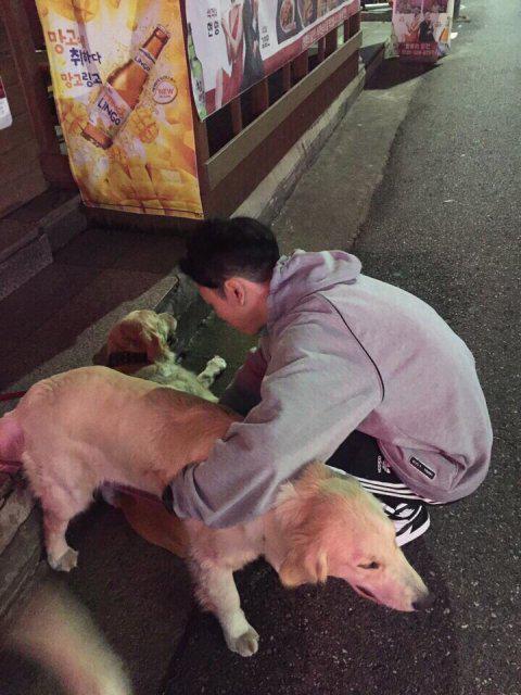 ara97 프로필